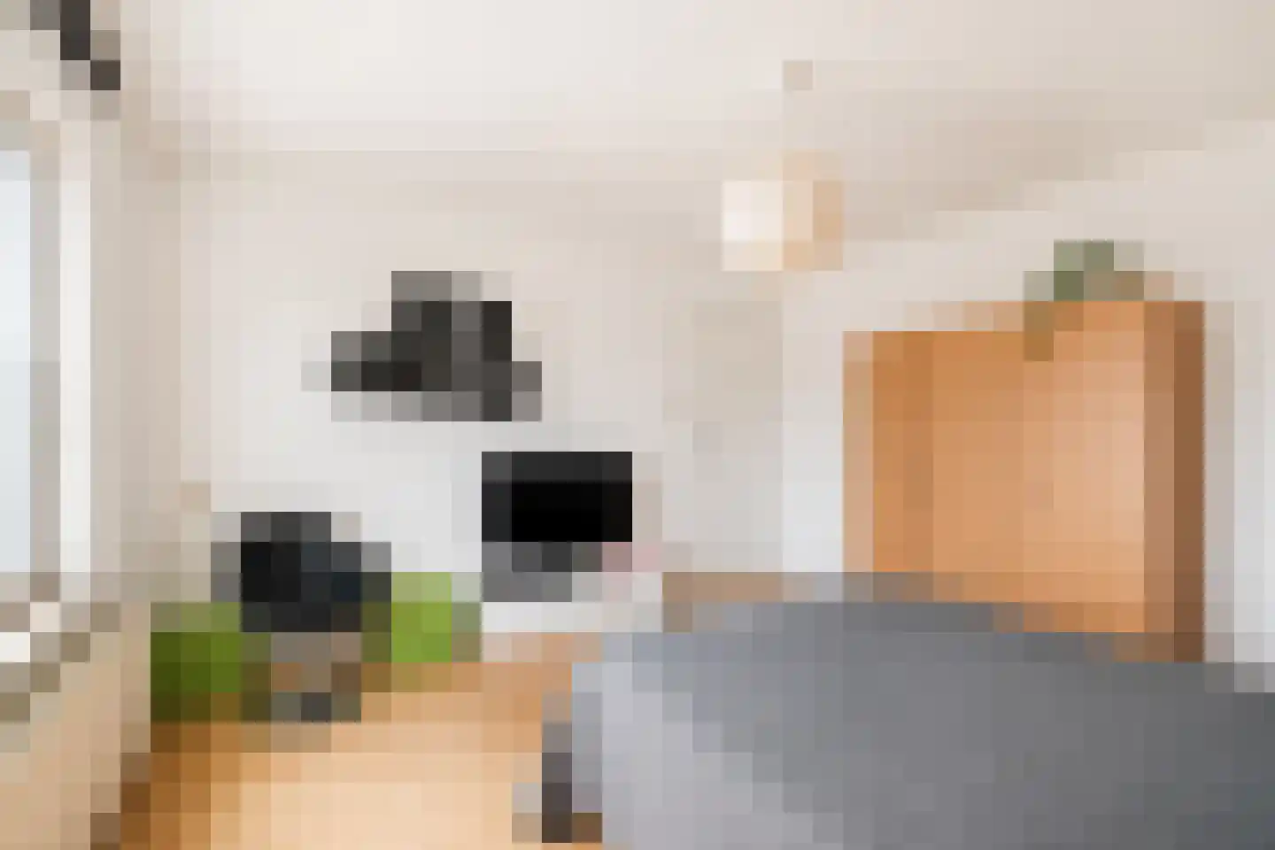 Klein Belgie 1 Vijfhuizen thumbnail 14