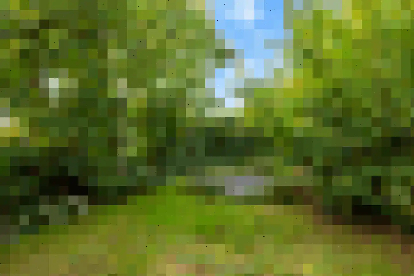 Klein Belgie 10 Vijfhuizen thumbnail 30