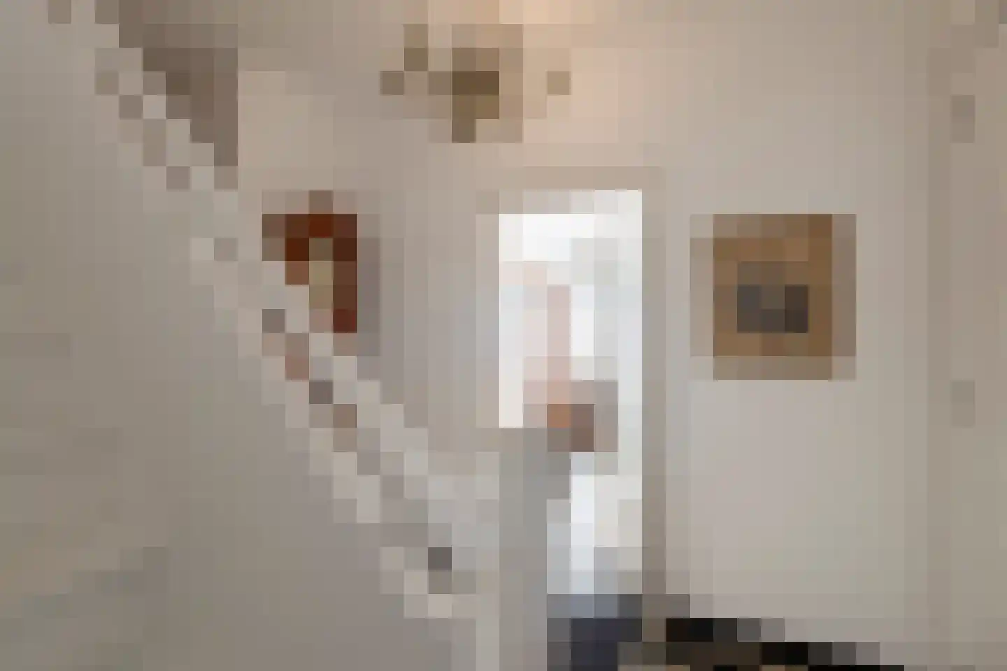 Klein Belgie 10 Vijfhuizen thumbnail 5