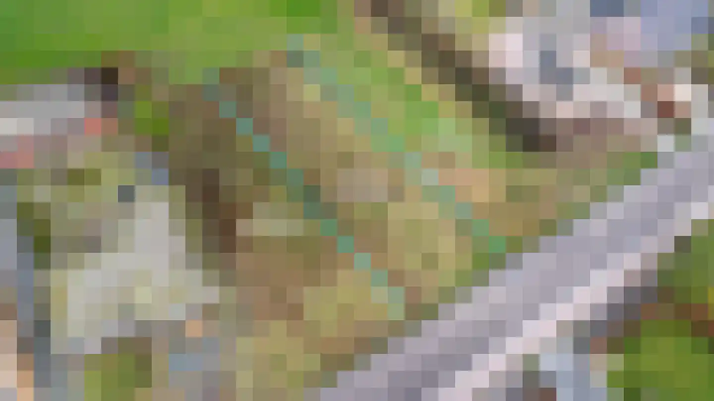 Klein Belgie 109 111 Vijfhuizen thumbnail 10