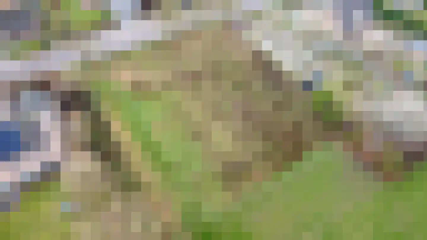 Klein Belgie 109 111 Vijfhuizen thumbnail 12