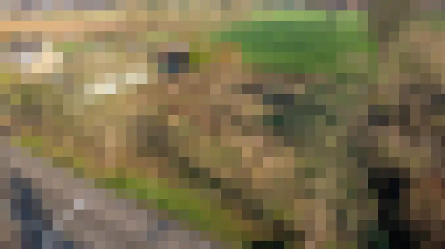 Klein Belgie 109 111 Vijfhuizen thumbnail 5