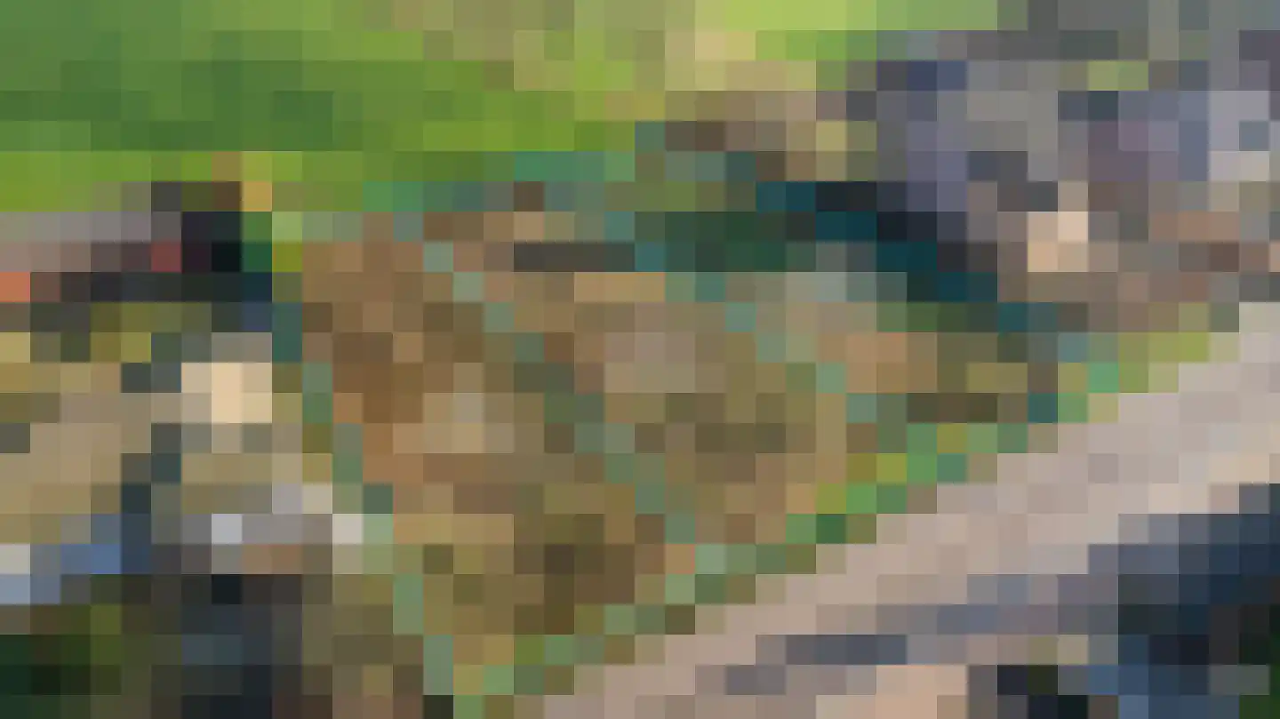 Klein Belgie 109 111 Vijfhuizen thumbnail 8