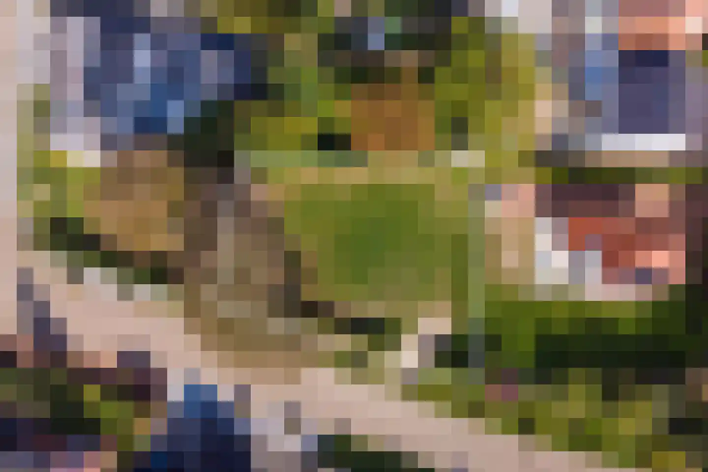 Klein Belgie 11 Vijfhuizen thumbnail 4