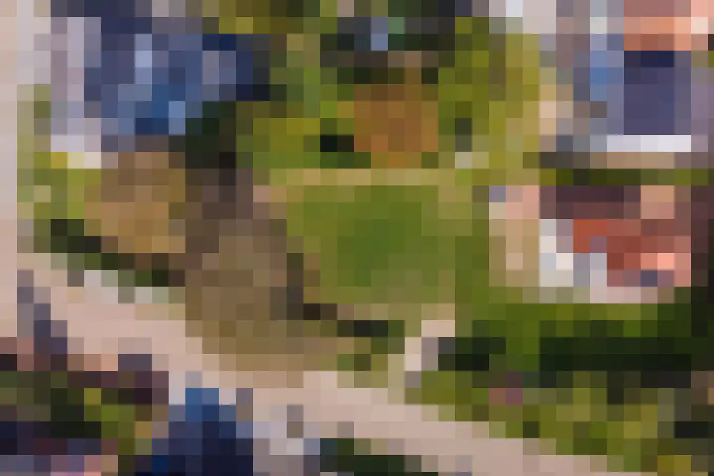 Klein Belgie 11 Vijfhuizen thumbnail 7