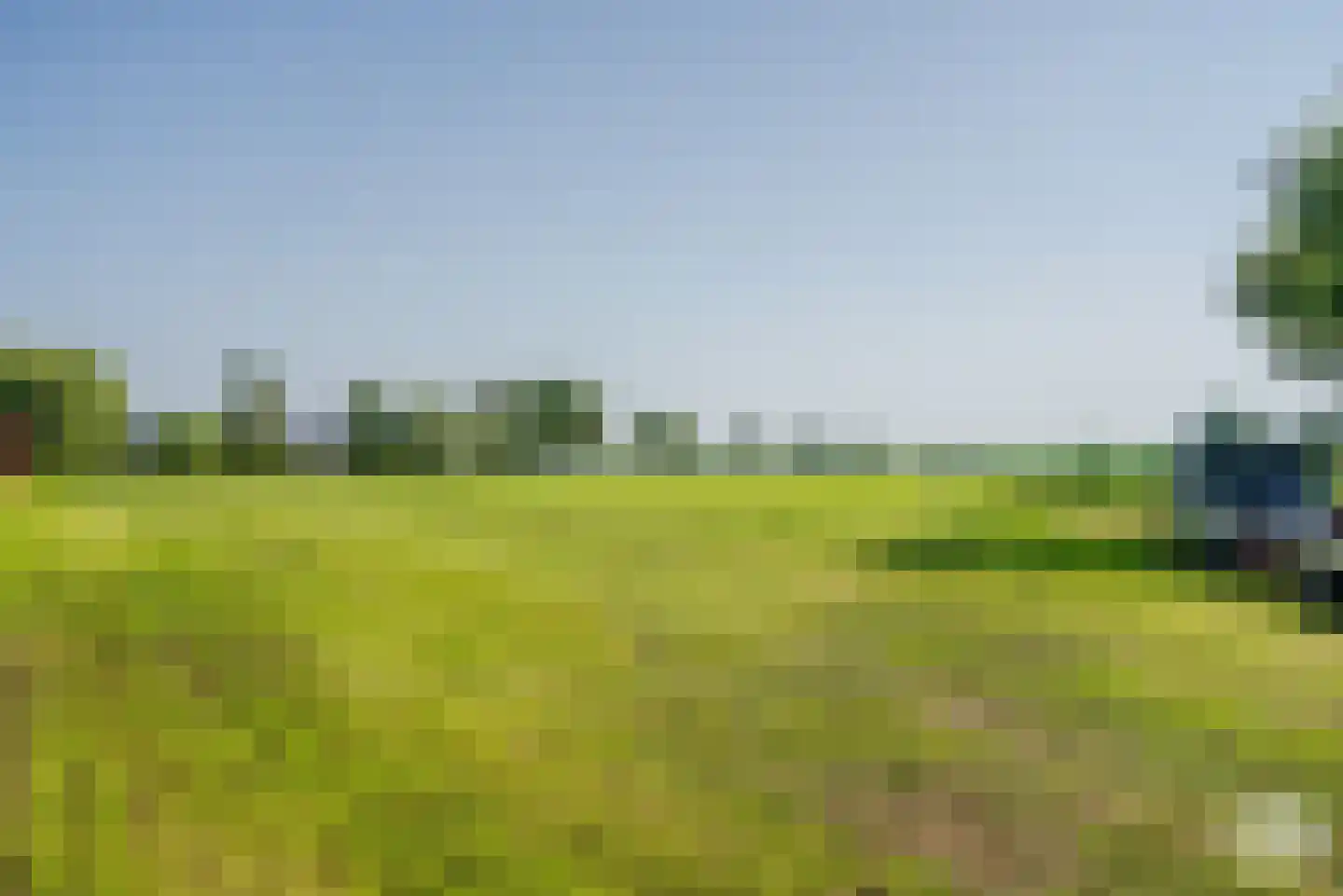 Klein Belgie 114 A Vijfhuizen thumbnail 18