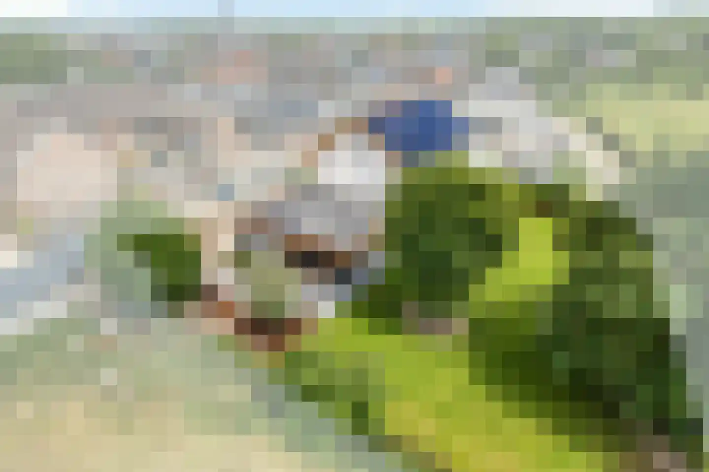 Klein Belgie 12 Vijfhuizen thumbnail 12