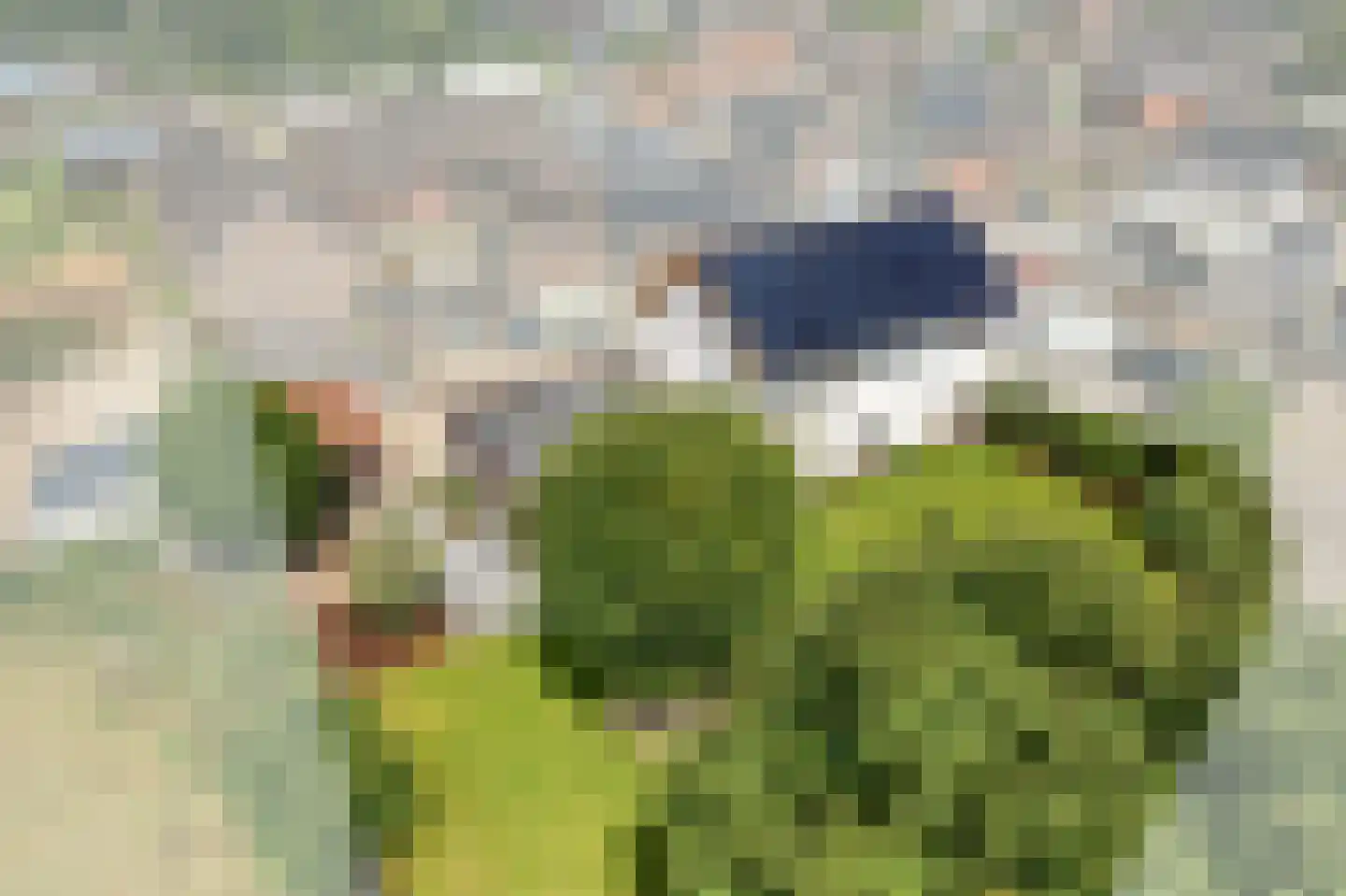 Klein Belgie 12 Vijfhuizen thumbnail 13