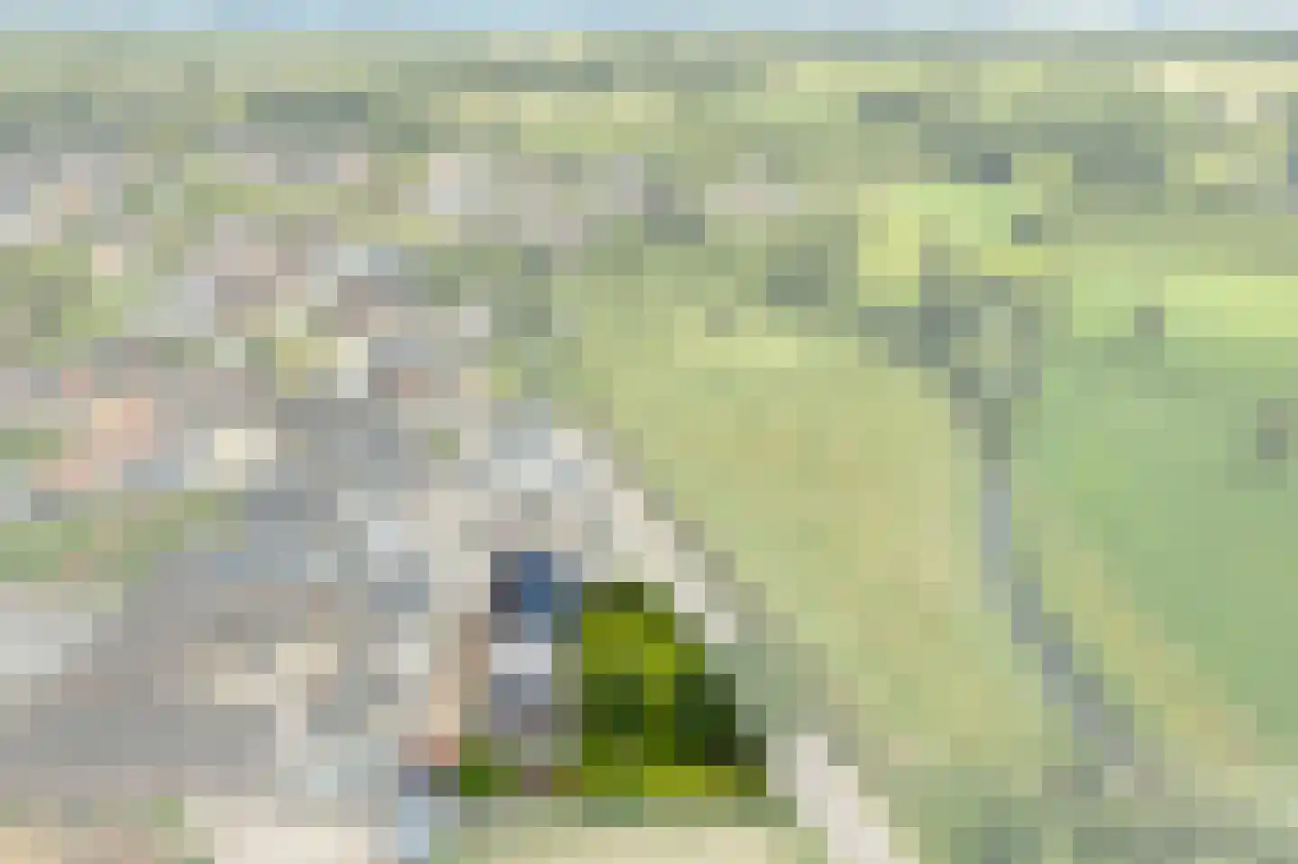 Klein Belgie 12 Vijfhuizen thumbnail 15