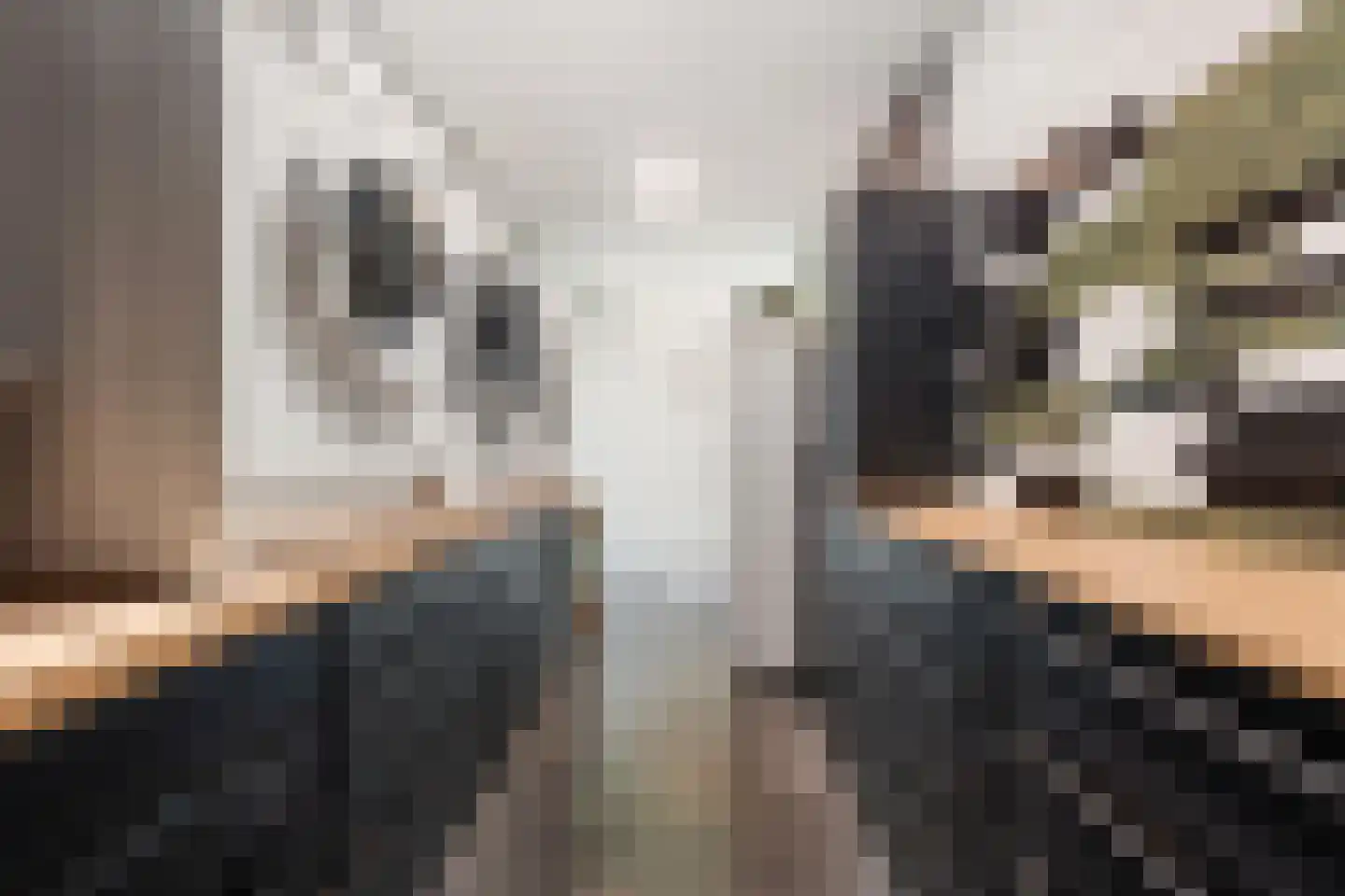 Klein Belgie 12 Vijfhuizen thumbnail 7