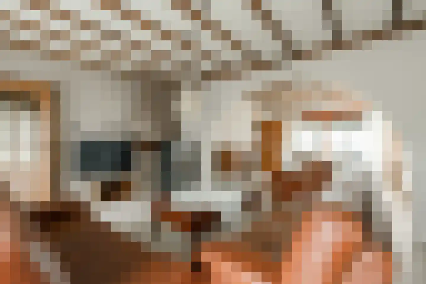Klein Belgie 13 Vijfhuizen thumbnail 11