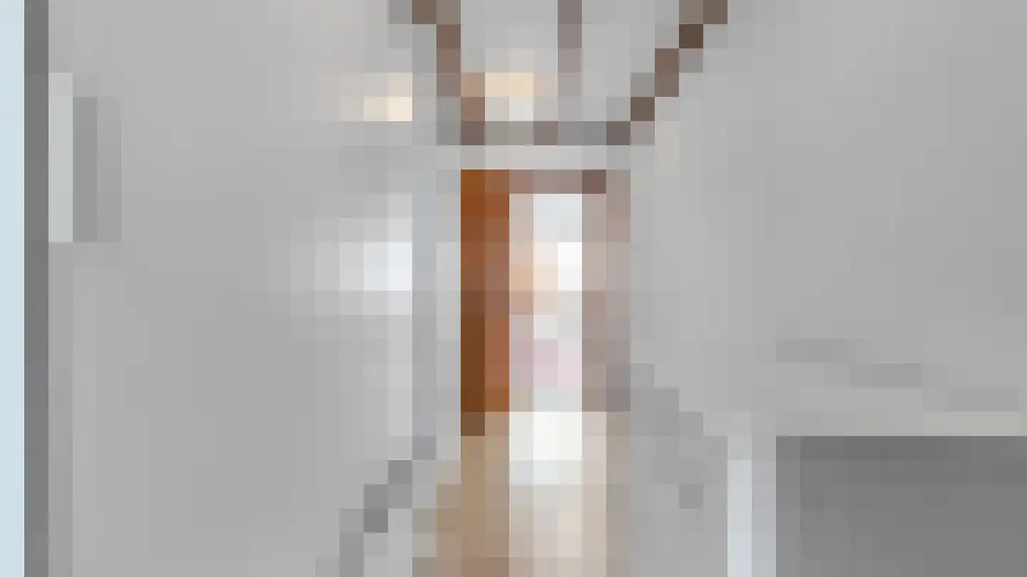 Klein Belgie 13 Vijfhuizen thumbnail 14