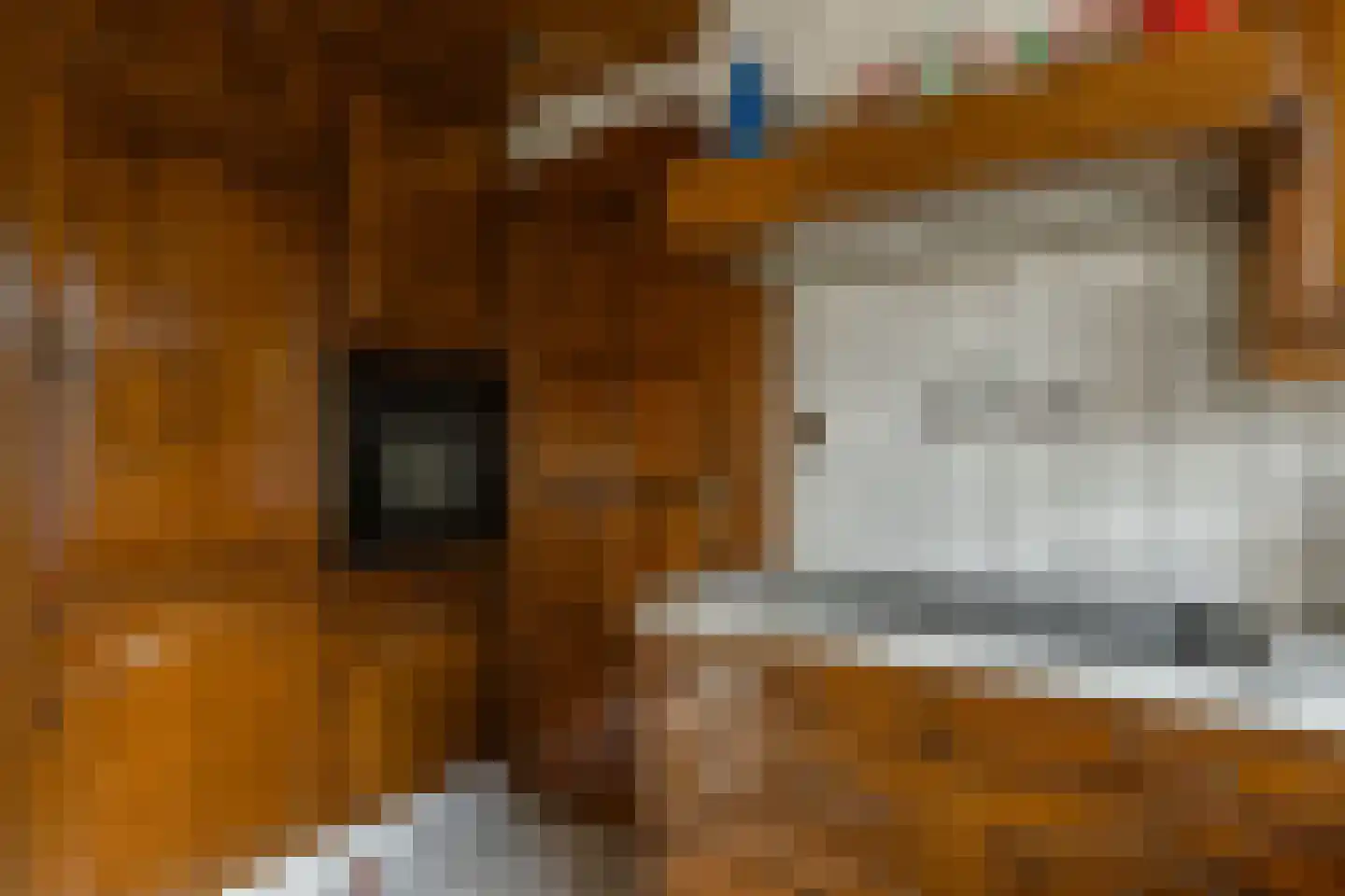 Klein Belgie 13 Vijfhuizen thumbnail 14