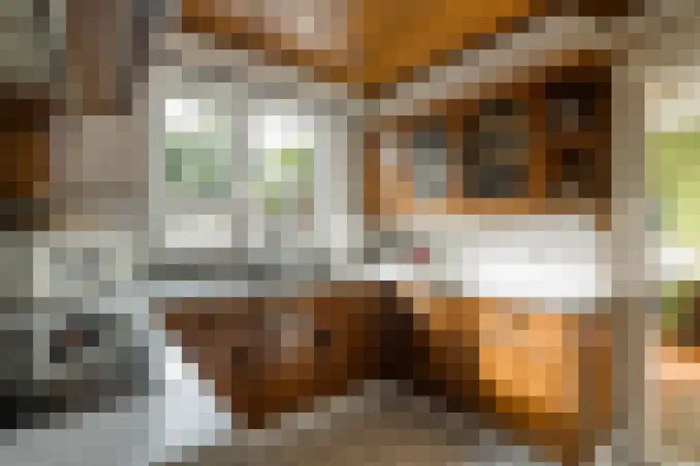 Klein Belgie 13 Vijfhuizen thumbnail 16