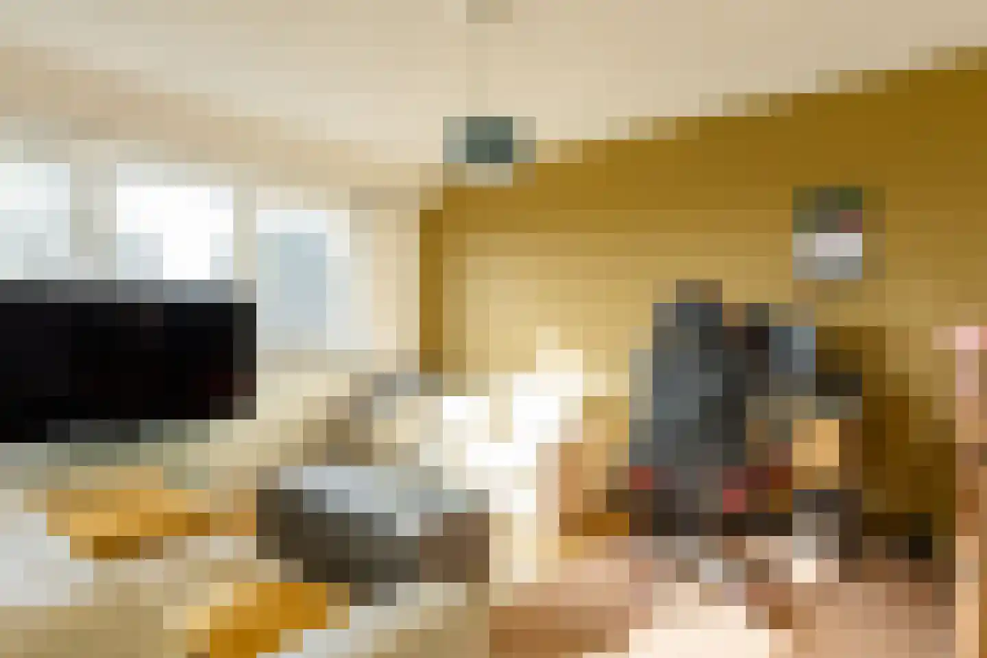 Klein Belgie 13 Vijfhuizen thumbnail 21
