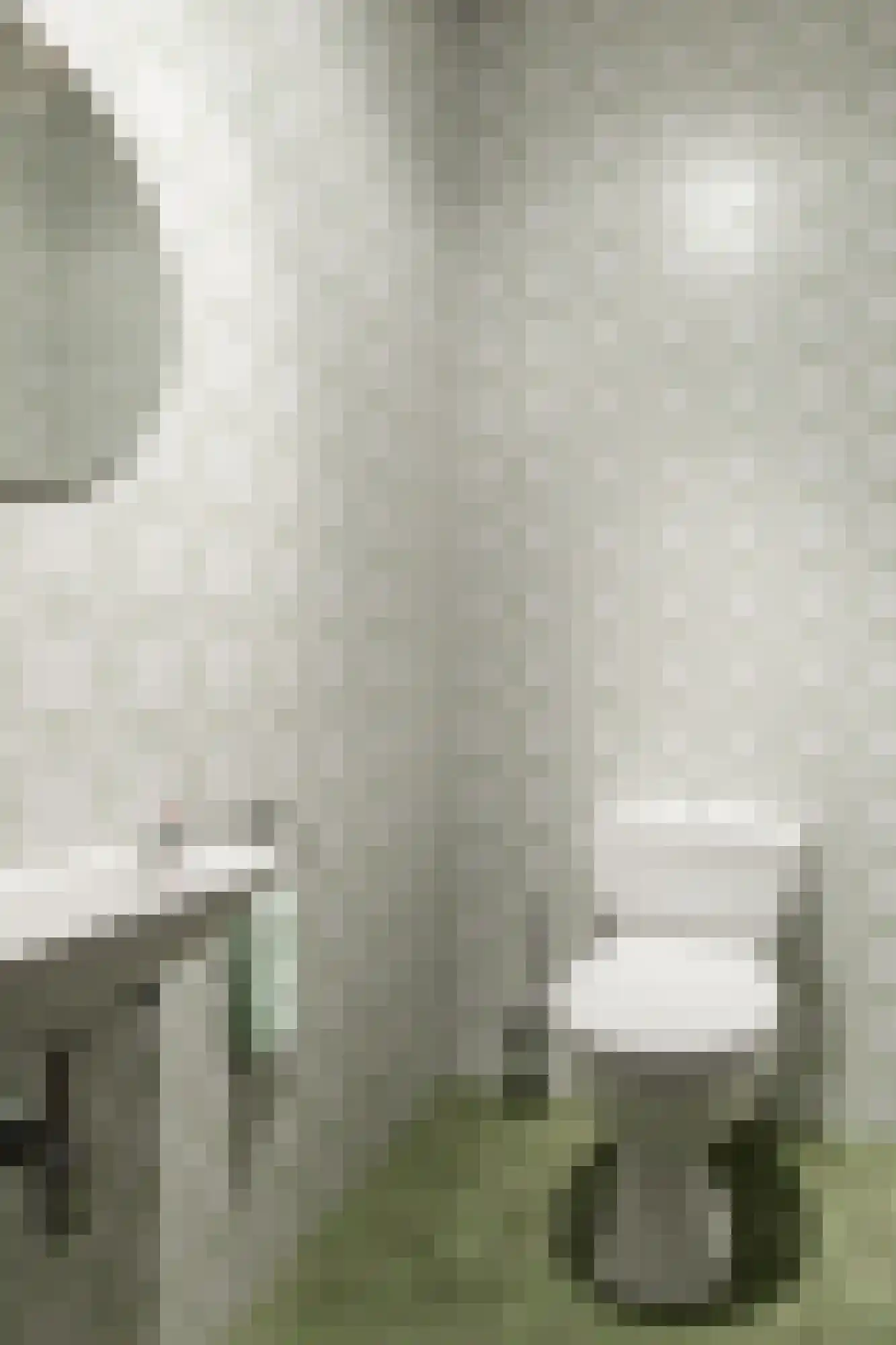 Klein Belgie 13 Vijfhuizen thumbnail 23