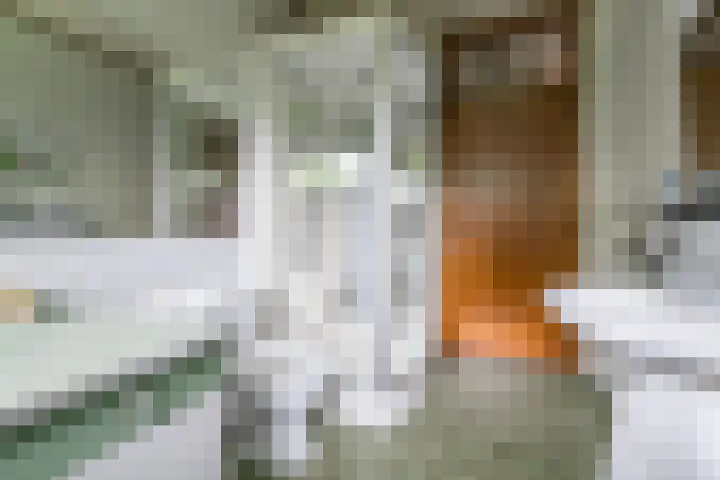 Klein Belgie 13 Vijfhuizen thumbnail 29