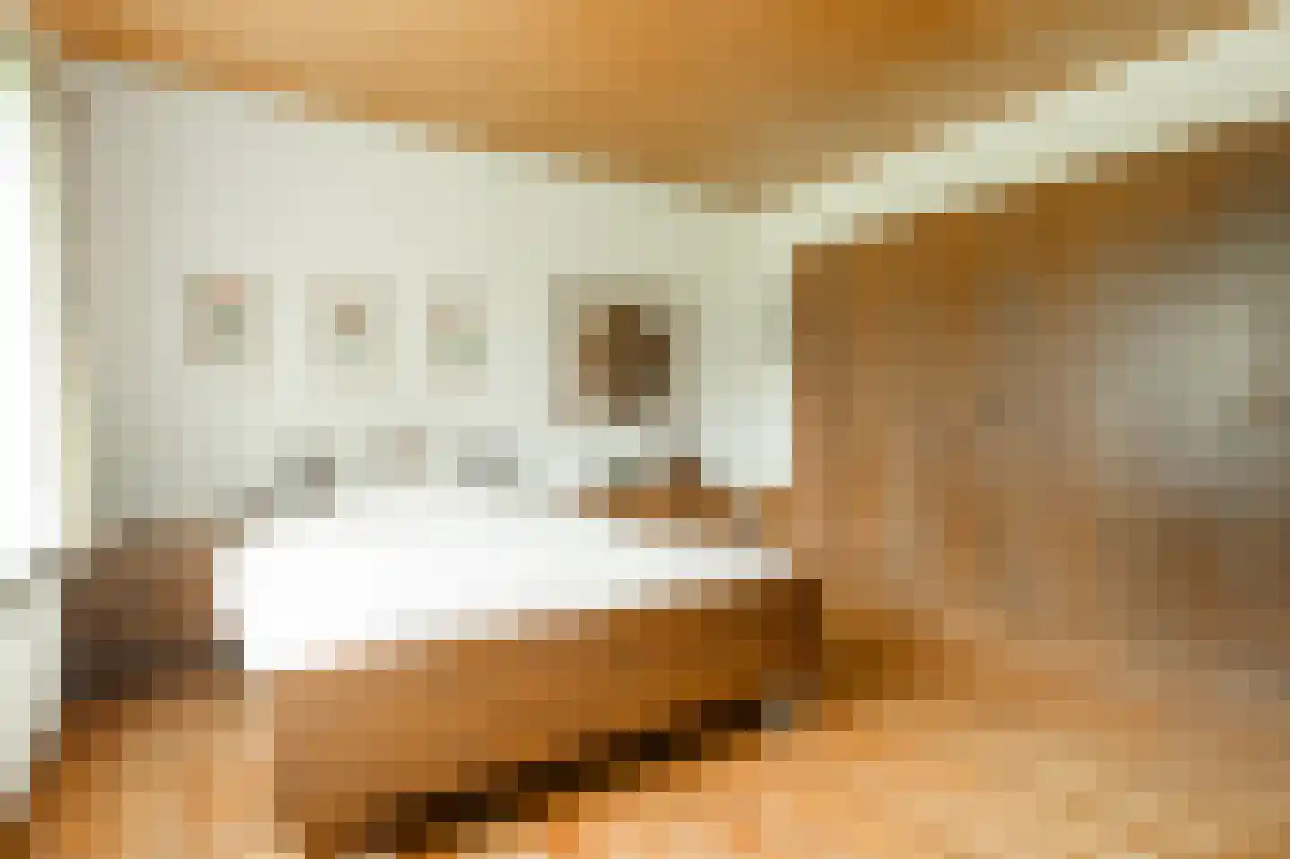 Klein Belgie 13 Vijfhuizen thumbnail 31