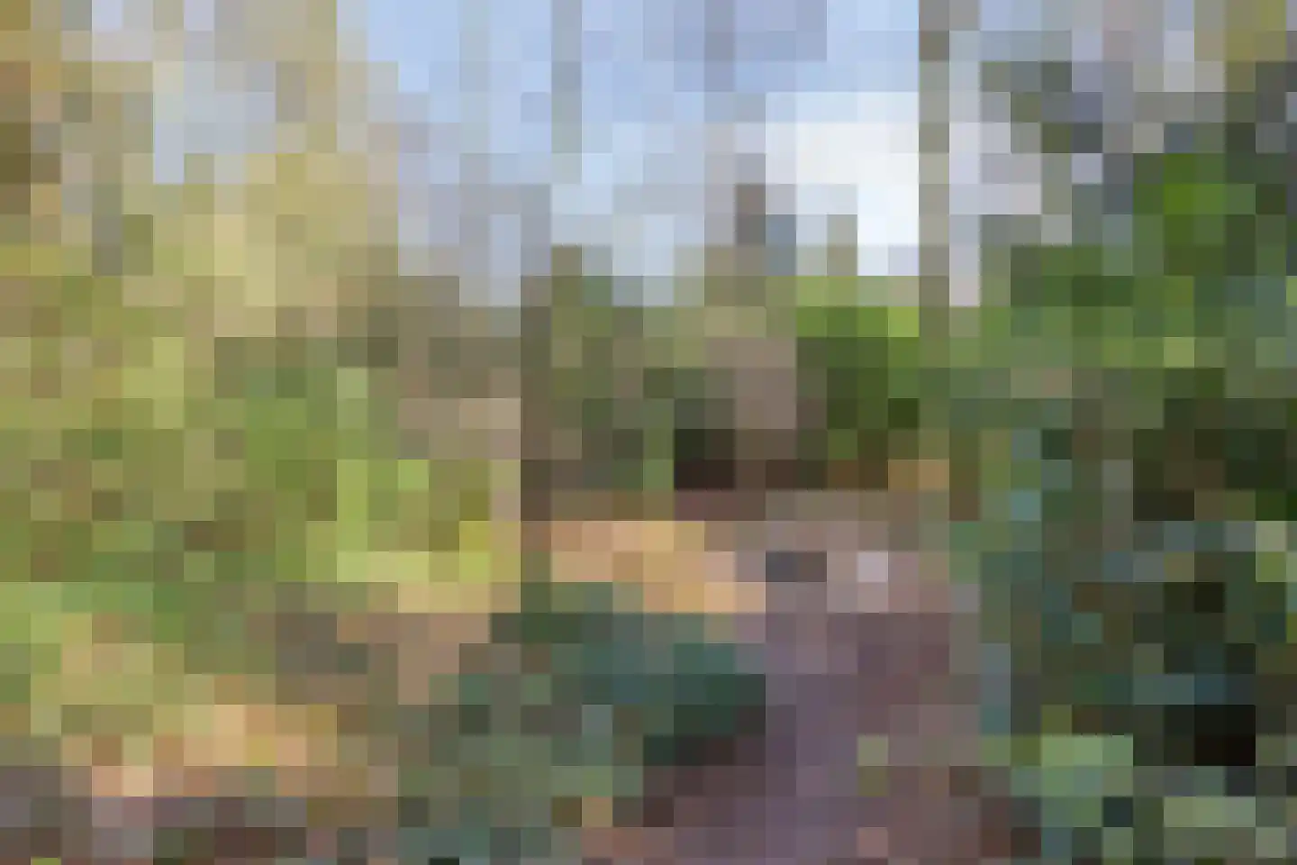 Klein Belgie 13 Vijfhuizen thumbnail 31