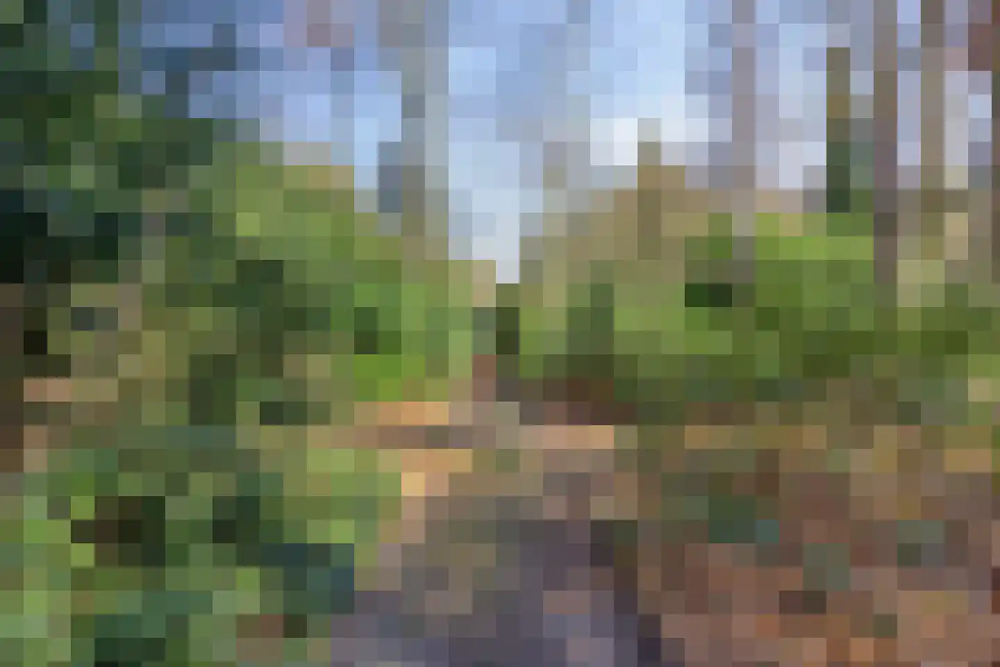 Klein Belgie 13 Vijfhuizen thumbnail 32
