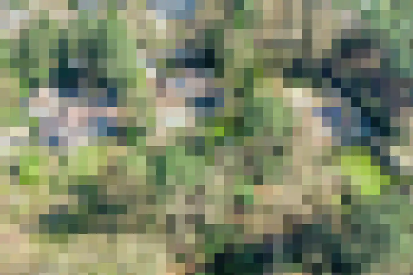Klein Belgie 13 Vijfhuizen thumbnail 33