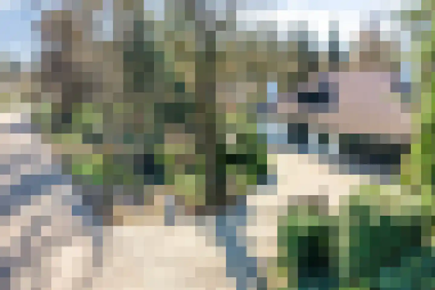 Klein Belgie 13 Vijfhuizen thumbnail 34