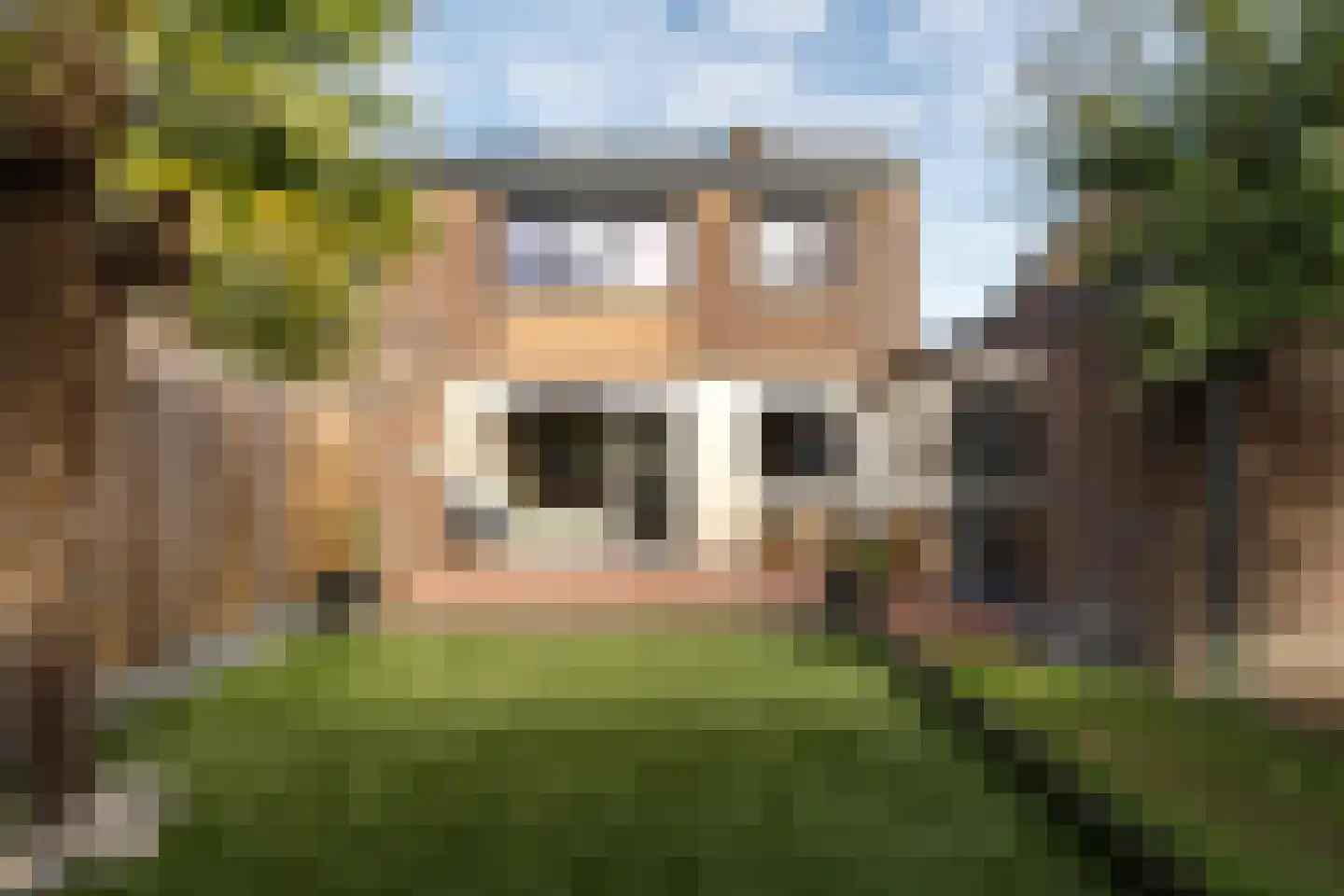 Klein Belgie 13 Vijfhuizen thumbnail 36