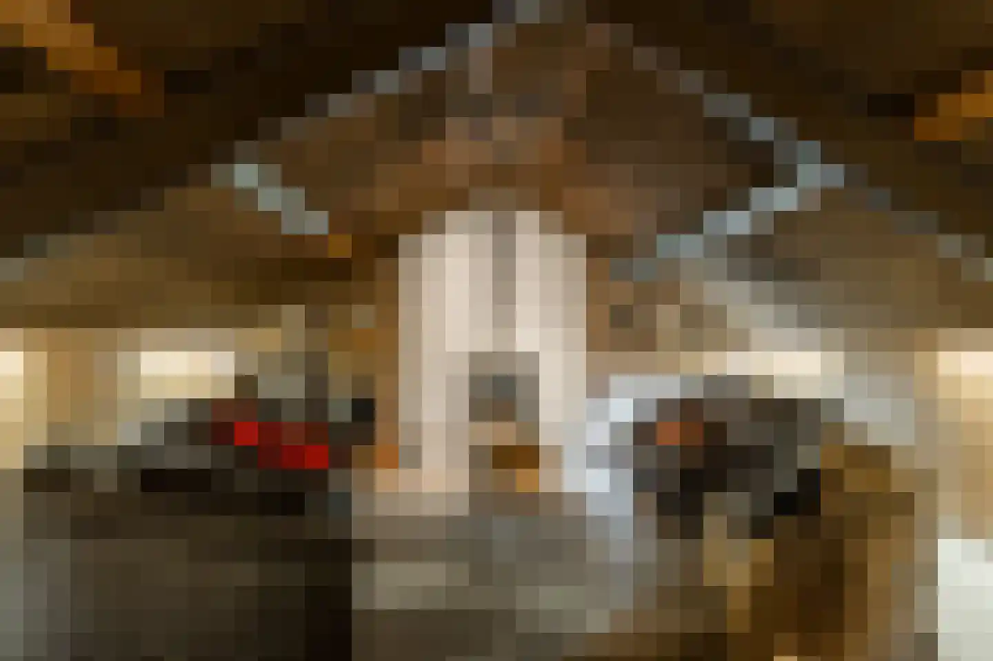 Klein Belgie 13 Vijfhuizen thumbnail 37