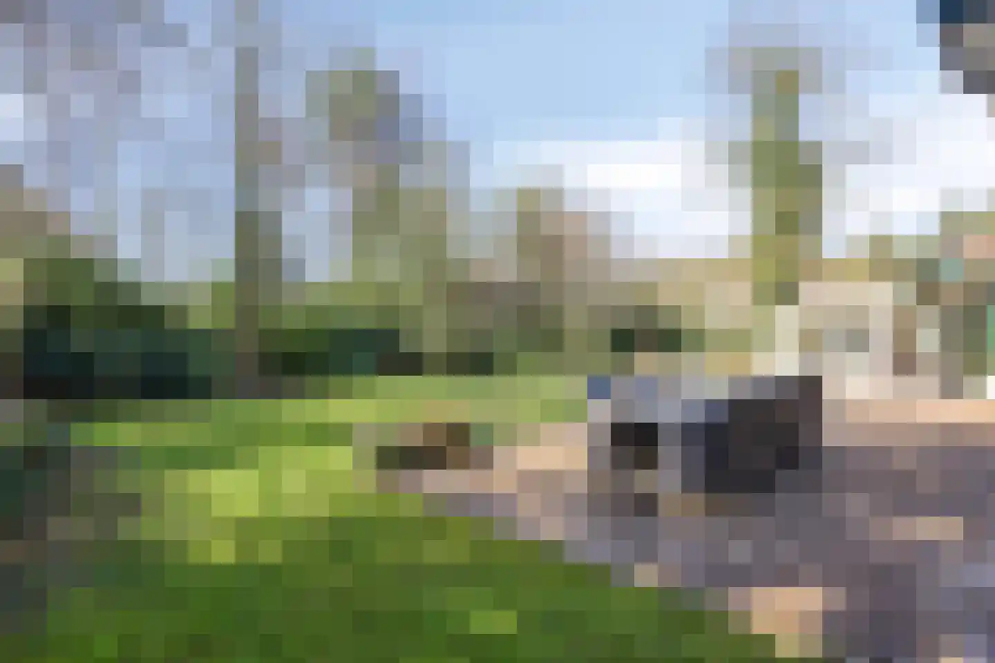 Klein Belgie 13 Vijfhuizen thumbnail 4