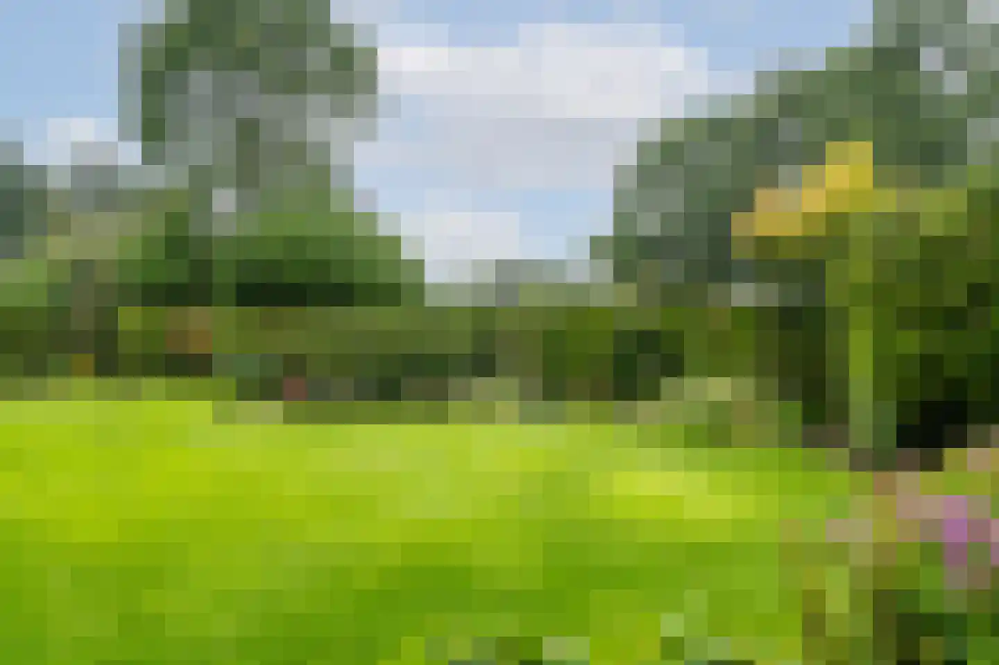 Klein Belgie 13 Vijfhuizen thumbnail 44