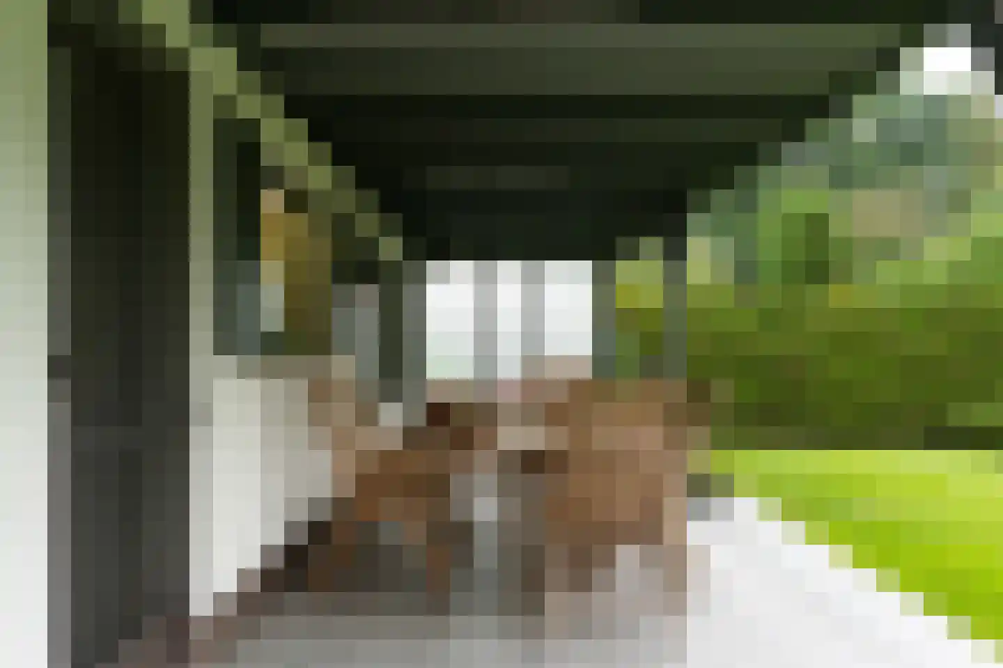 Klein Belgie 13 Vijfhuizen thumbnail 45