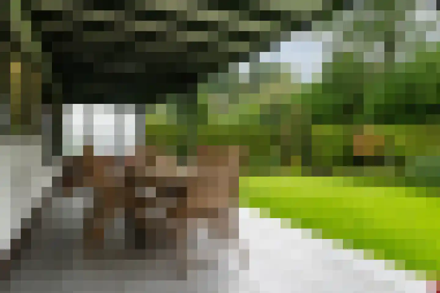Klein Belgie 13 Vijfhuizen thumbnail 50