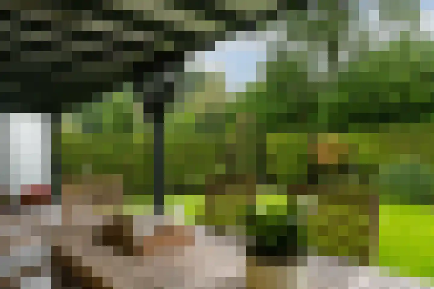 Klein Belgie 13 Vijfhuizen thumbnail 51
