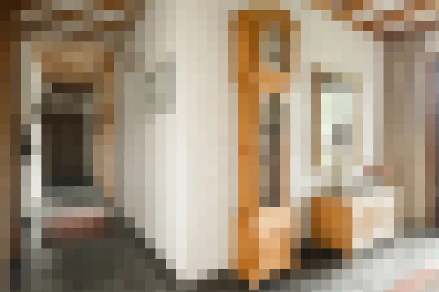 Klein Belgie 13 Vijfhuizen thumbnail 7