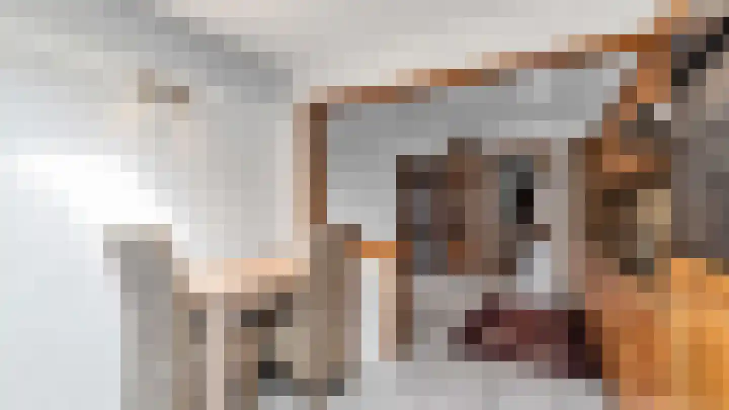 Klein Belgie 13 Vijfhuizen thumbnail 8
