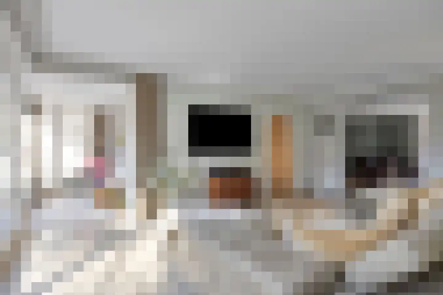 Klein Belgie 13 Vijfhuizen thumbnail 8