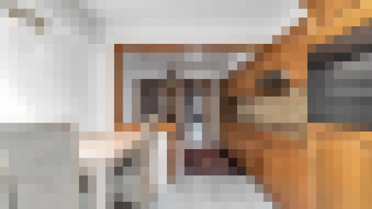 Klein Belgie 13 Vijfhuizen thumbnail 9