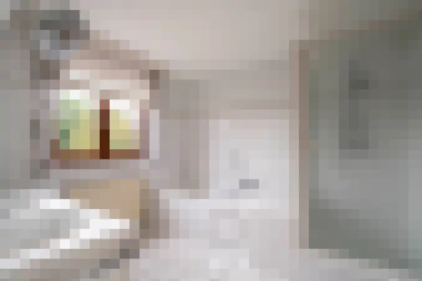 Klein Belgie 14 B5 Vijfhuizen thumbnail 13