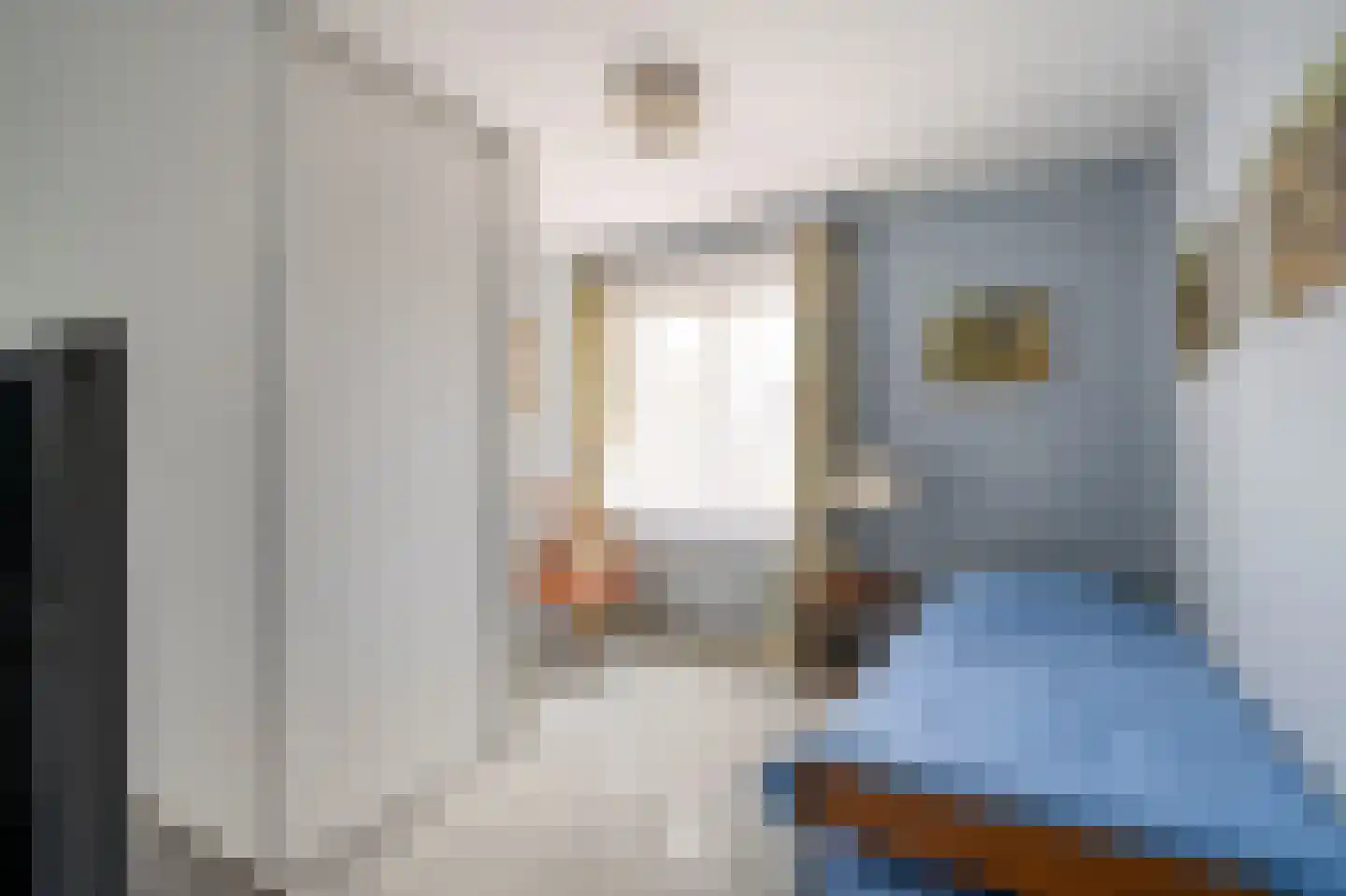 Klein Belgie 14 B5 Vijfhuizen thumbnail 17