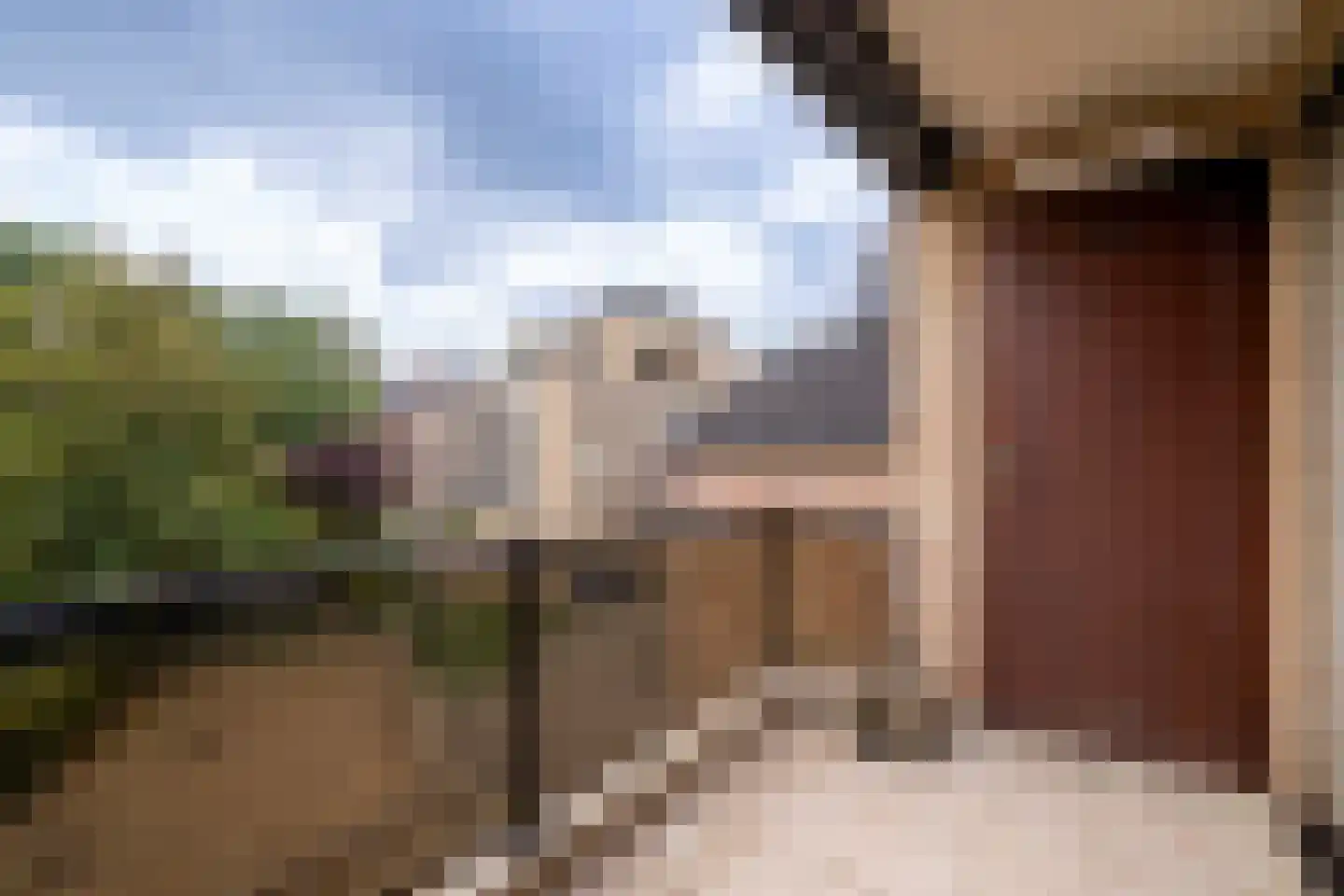 Klein Belgie 14 B5 Vijfhuizen thumbnail 5