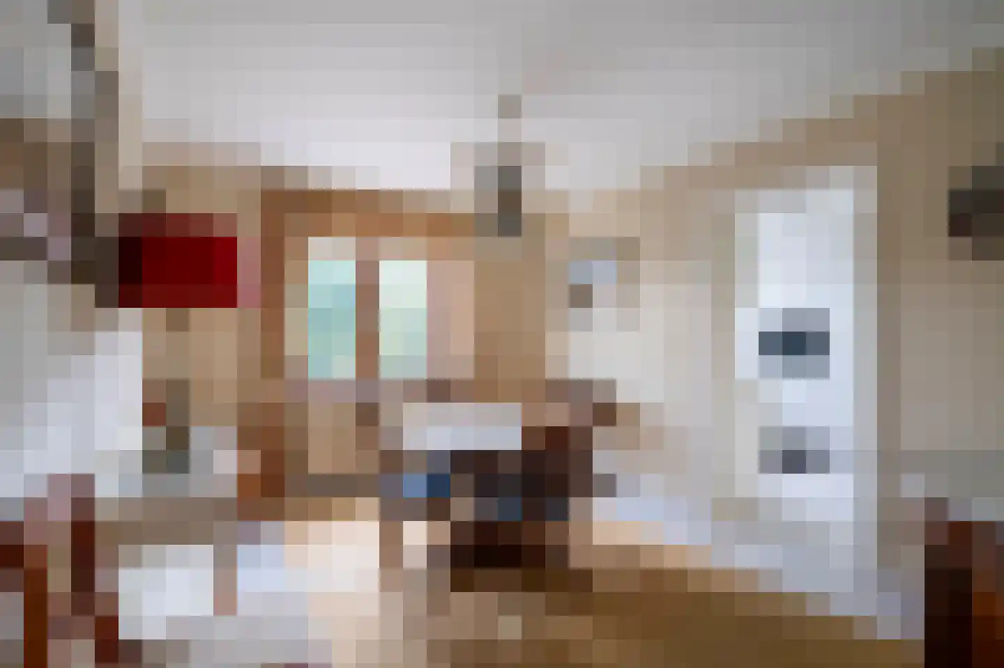 Klein Belgie 14 B5 Vijfhuizen thumbnail 6