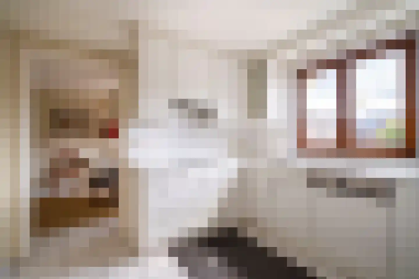 Klein Belgie 14 B5 Vijfhuizen thumbnail 8
