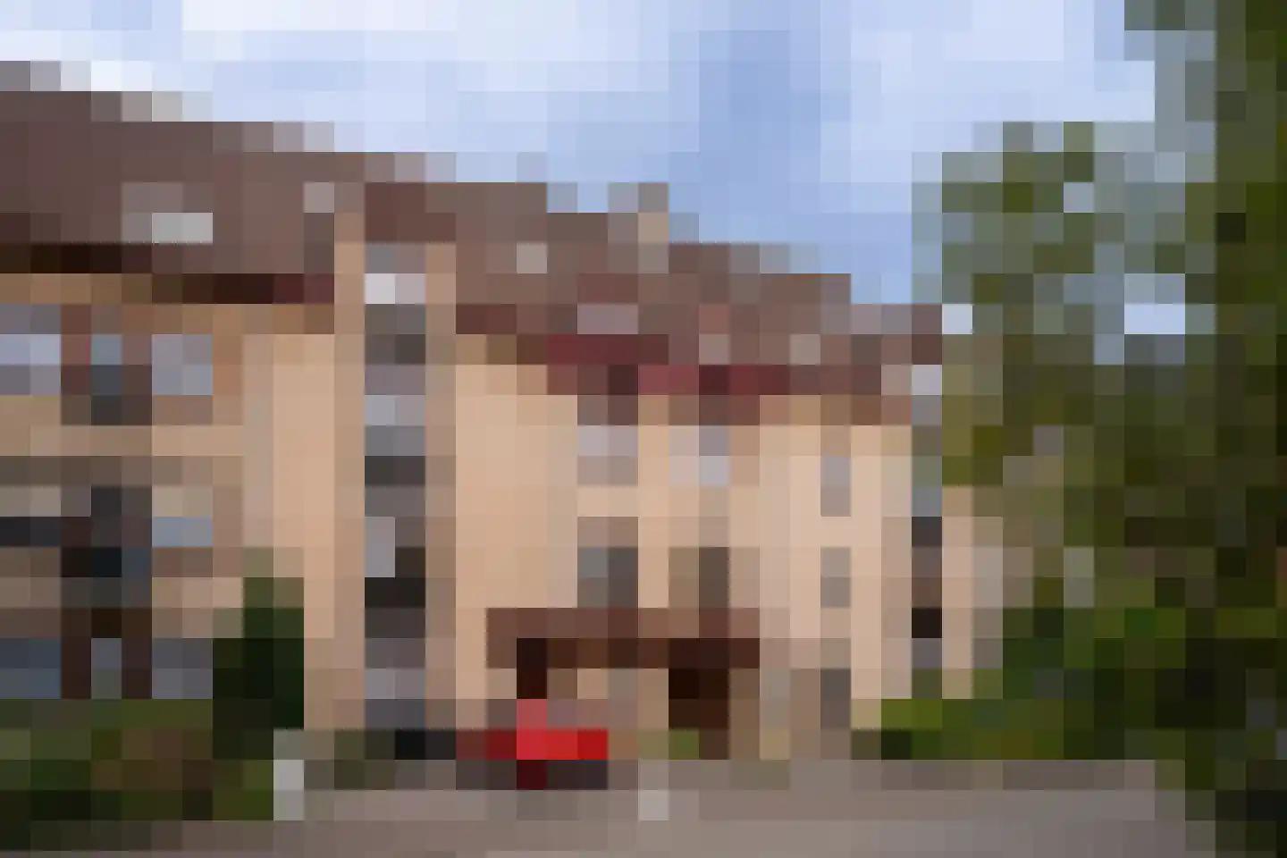Klein Belgie 14 B5 Vijfhuizen thumbnail 9
