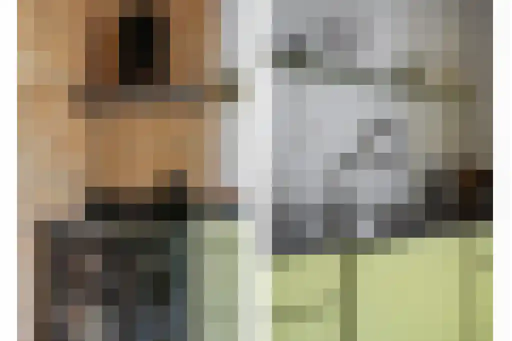 Klein Belgie 14 Vijfhuizen thumbnail 11