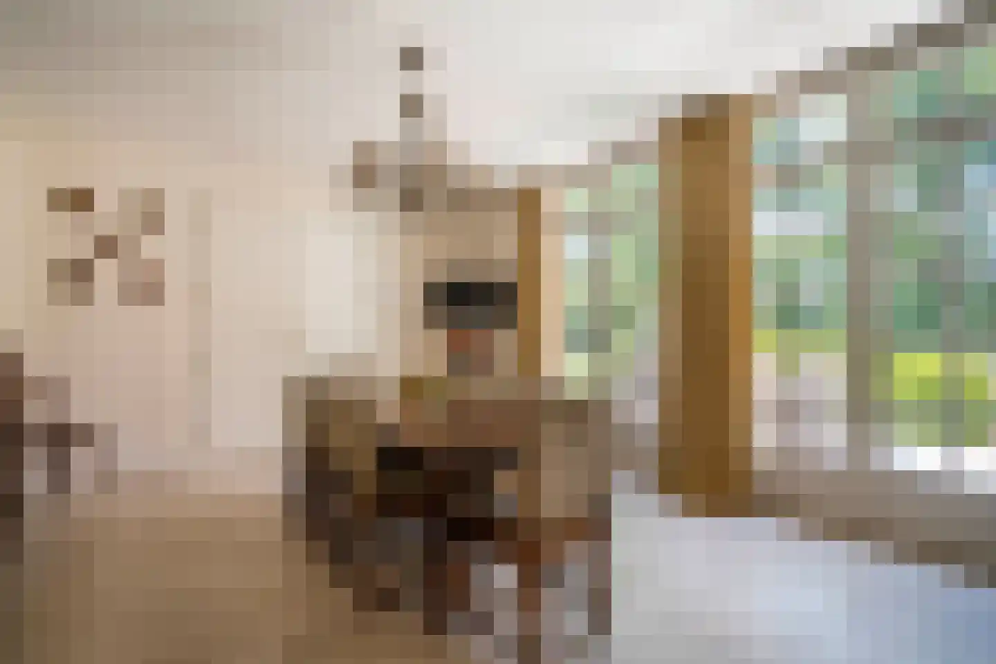 Klein Belgie 14 Vijfhuizen thumbnail 12