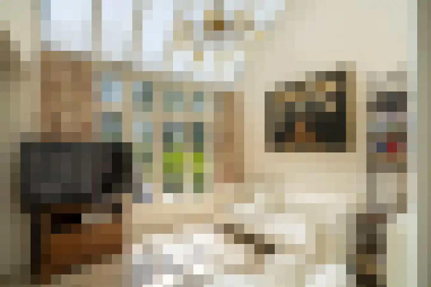 Klein Belgie 14 Vijfhuizen thumbnail 14