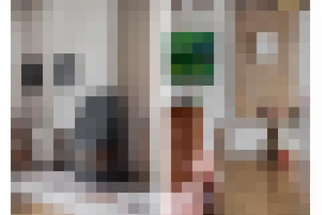Klein Belgie 14 Vijfhuizen thumbnail 18