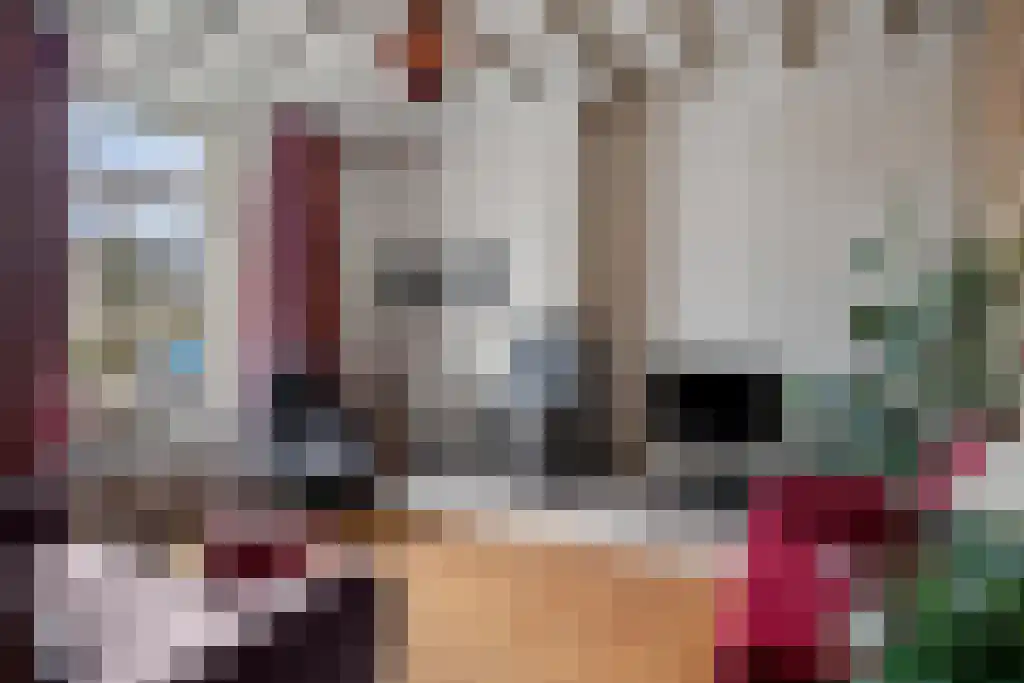 Klein Belgie 14 Vijfhuizen thumbnail 19
