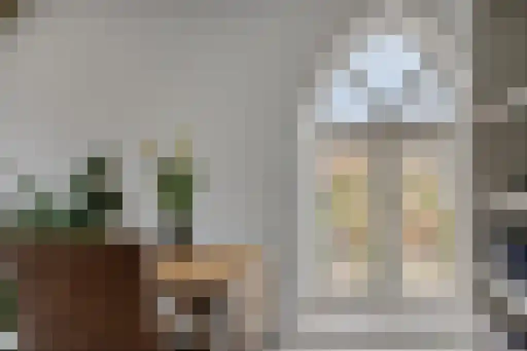 Klein Belgie 14 Vijfhuizen thumbnail 25