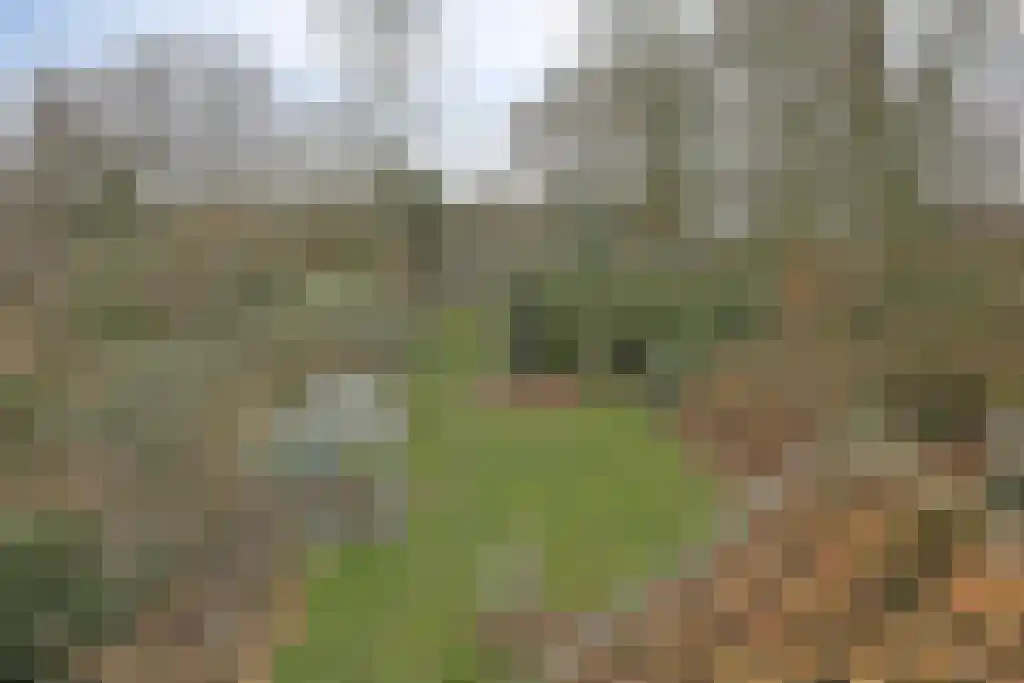 Klein Belgie 14 Vijfhuizen thumbnail 26